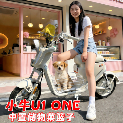 适用于小牛U1one前置中蓝中置车篮车筐菜篮子U1 ONE宠物中篮筐
