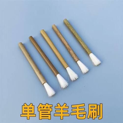 可重复抹药刷医用抹药笔毛刷教学仪器一次性实验教材毛刷大棉签