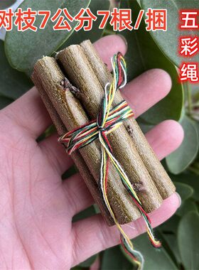 桃树枝7公分长7根每捆红黄绿白黑五彩绳桃木捆绑真桃木棍摆件随身