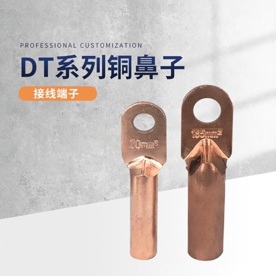 国标铜接线鼻五升铜堵油DT紫铜