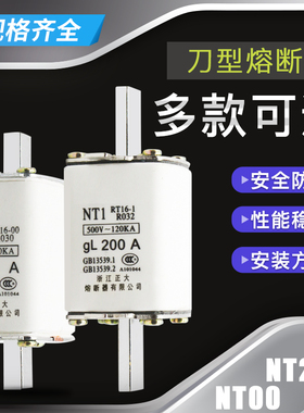 熔断器熔芯保险丝NT00 RT16GL 63A 80A 160A陶瓷熔断体刀形触头