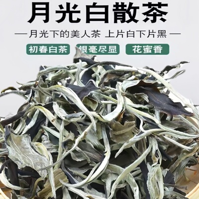 月光白茶一芽二叶明前头春美人茶云南白茶500克