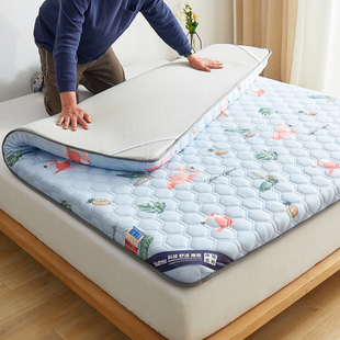 定制乳胶儿童软床垫6070cm学生宿舍180x80x190x90x130x110x200x85