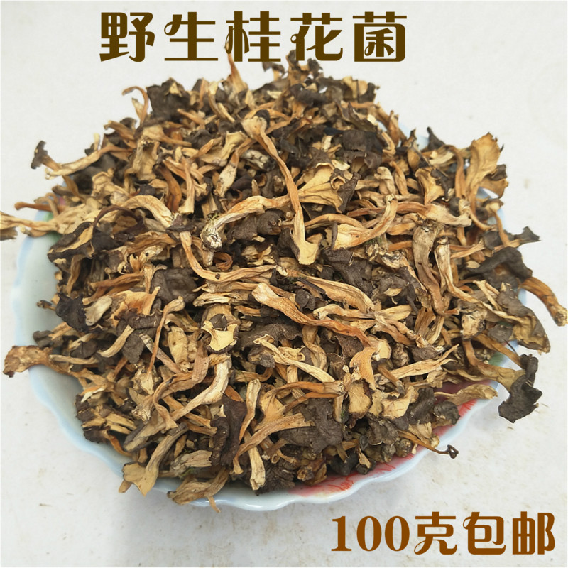 Yunnan specialty wild sweet-scented osmanthus dried food sweet-scented osmanthus Farm Mushroom Morel mushroom Shan Zhen Soup 100gin the Agri rice/Dried foods/Condiment , Dried foods/Meat Dry , Dry/Native , Mushroom category  category - from Buy2taobao.com to provide professional Taobao agent buy service
