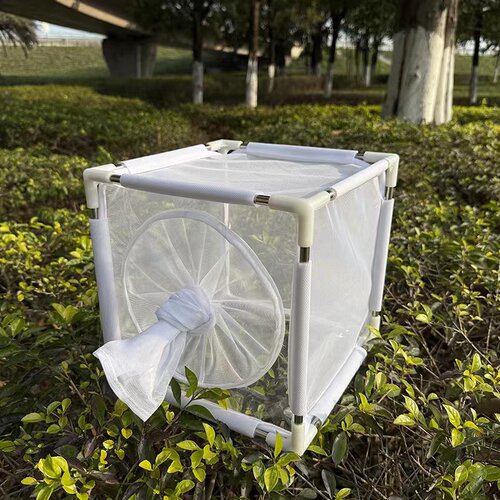 昆虫笼昆虫养殖笼蚊子笼蝴蝶笼