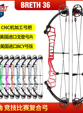 顶点 青少年版36轴距竞技比赛射准复合弓 Breth 36 体育比赛项目