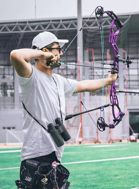 顶点旗下品牌DAIBOW 射准复合弓Stronghold同款竞技比赛专用