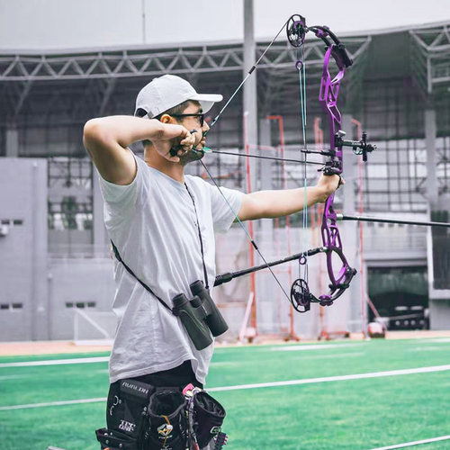 顶点旗下品牌DAIBOW 射准复合弓Stronghold同款竞技比赛专用