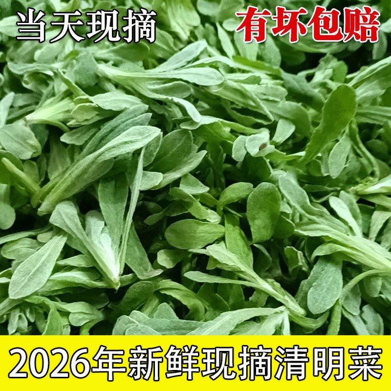 四川特产宜宾农家鼠曲草新鲜现摘清明菜清明草艾叶野生鼠鞠棉花草,水产肉类/新鲜蔬果/熟食,其它,淘宝优惠券,粉丝福利购,淘宝优惠卷