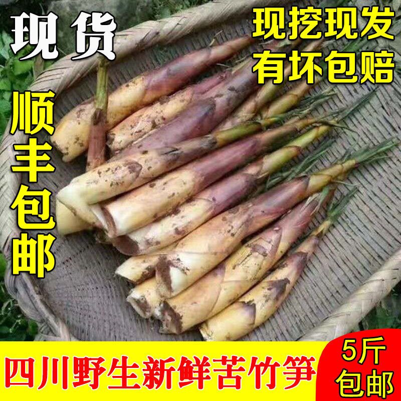 四川苦竹笋新鲜甜苦笋现挖春笋雷笋宜宾农家笋子腌笃笋尖时令包邮