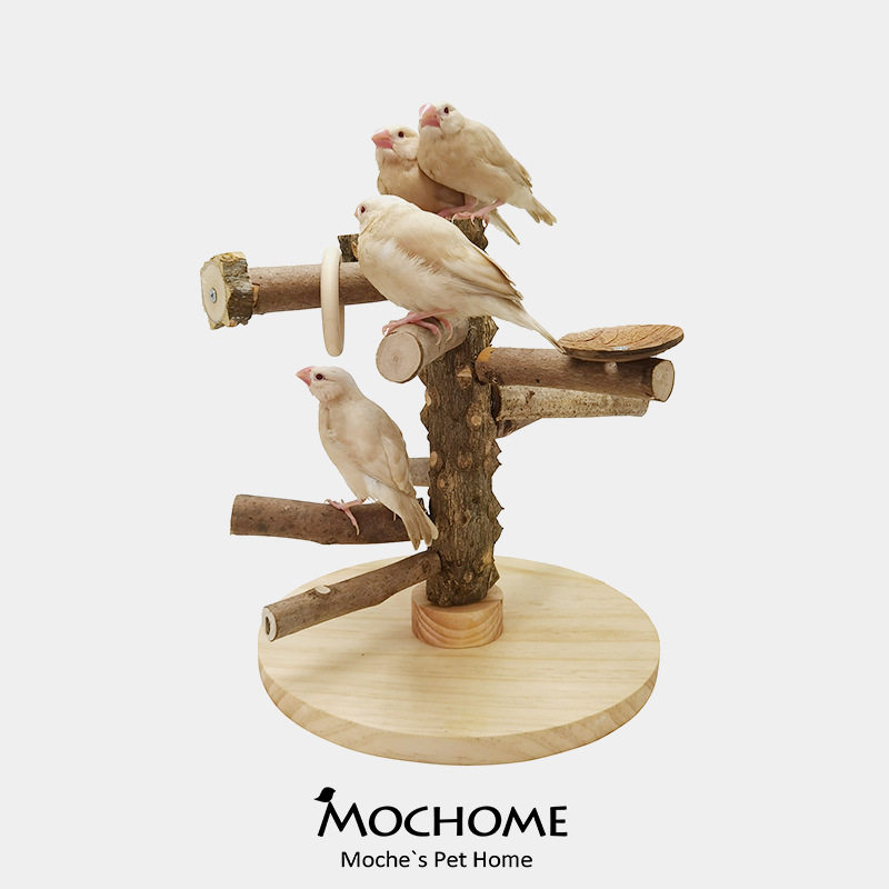摩卡鹦鹉玄凤虎皮牡丹旋转梯桌面趣味互动益智玩具游乐场实木站架,宠物/宠物食品及用品,鸟玩具,淘宝优惠券,粉丝福利购,淘宝优惠卷