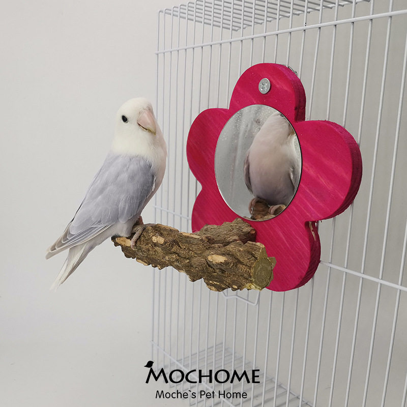 摩卡宠物用品玩具鸟镜子鹦鹉镜子花椒木镜子鹦鹉专用镜子宠物玩具,宠物/宠物食品及用品,宠物鸡/鸭/鸽笼,淘宝优惠券,粉丝福利购,淘宝优惠卷