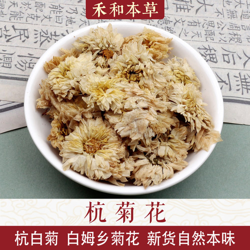 杭白菊中药材杭菊花茶白菊花