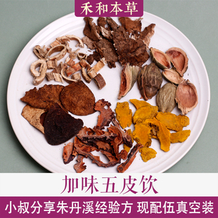 加味五皮饮朱丹溪中药材1付量桑白皮文小叔分享禾和本草7付包邮