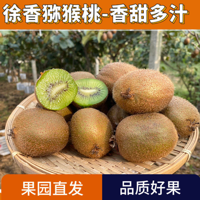河南西峡徐香猕猴桃绿心奇异果