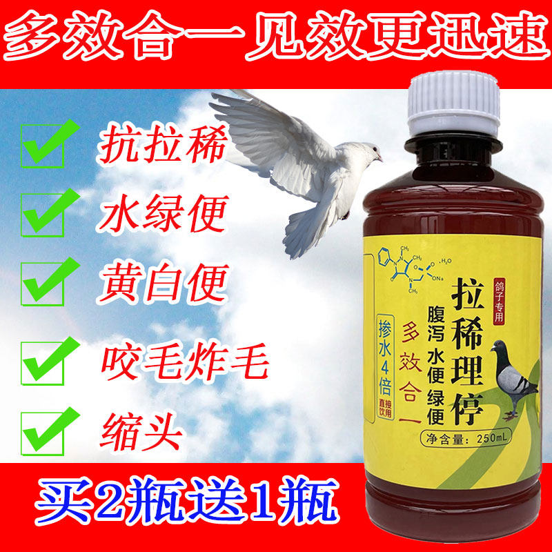 鸽子拉稀绿便水便鸽子黄便锁头炸毛没精神瘦耷拉翅膀球虫病