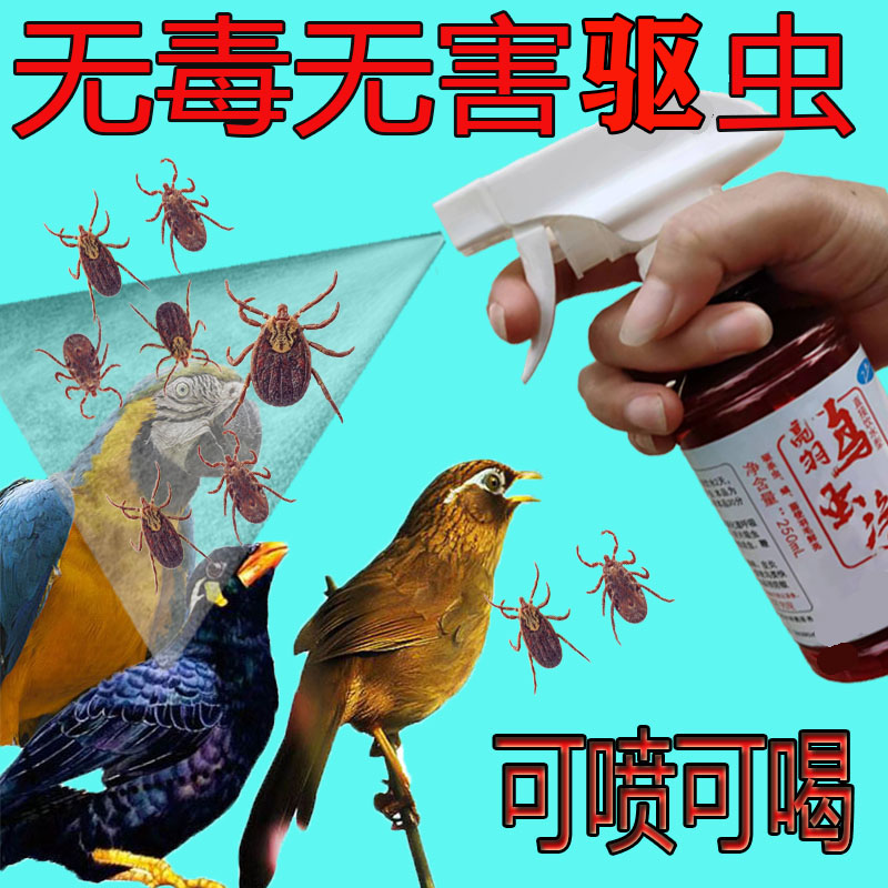 画眉鹦鹉鸟类用品驱虫体内虫体外寄生虫打虫掉咬毛羽虱子血螨虫