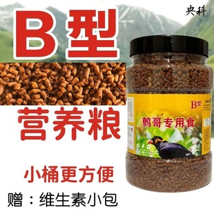 B款 鹩哥八哥食亮毛肥膘小桶高蛋白八哥食换毛期料全期营养鸟食