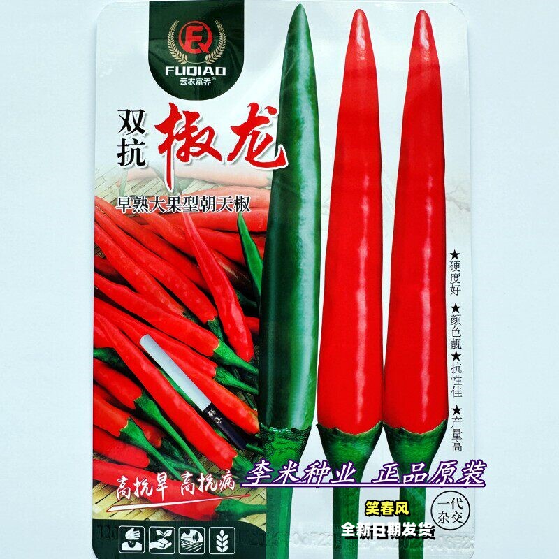 双抗椒龙中早熟大果型朝天椒种籽种孑泰国引进抗寒耐热香辣椒种子