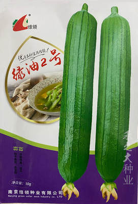 绿油2号丝瓜种子早熟高产一代杂交香嫩肉丝瓜阳台四春季蔬菜种孑
