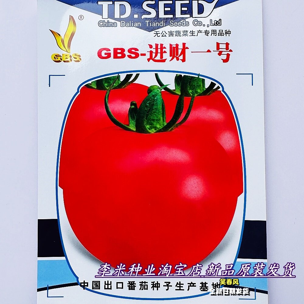 GBS进财一号粉红番茄种子大连高抗病极早熟西红柿种籽孑