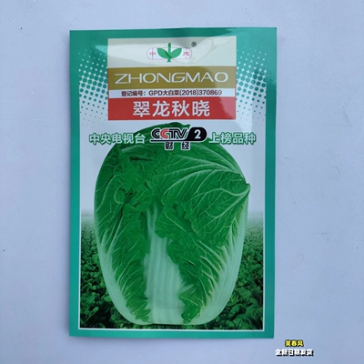 山东大白菜种籽翠龙秋晓抗病高产结球白菜种子南北方秋季播种蔬菜