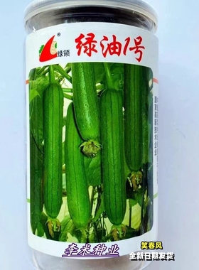 丝瓜种子绿油1号2号丝瓜种籽早熟果皮油亮薄皮优质蔬菜种孑