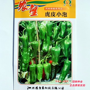 农望虎皮小泡辣椒种子杂交泡椒种籽小灯笼形辣椒种孑农家春秋季播