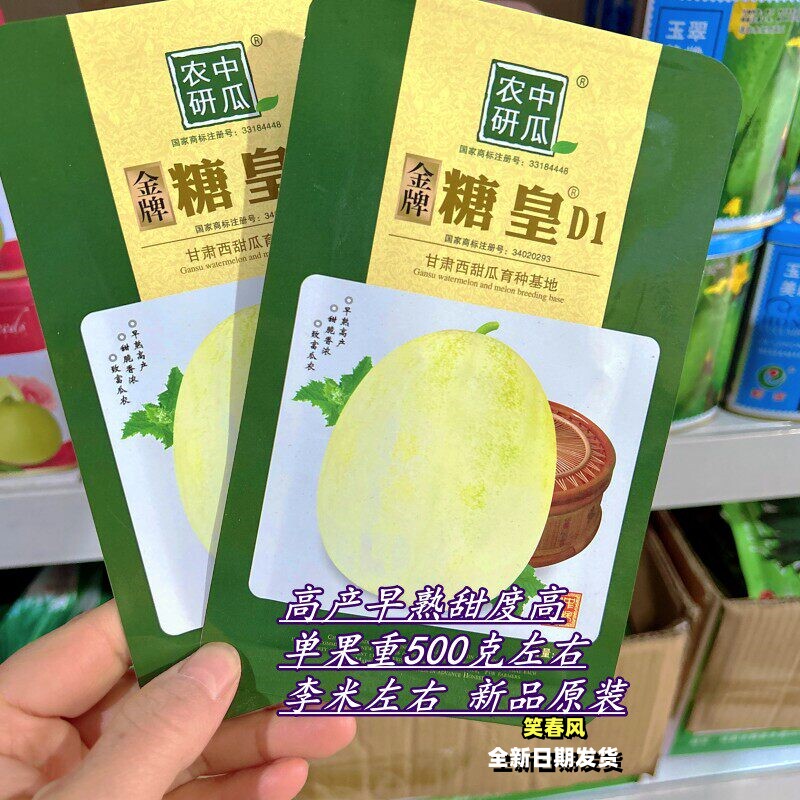 金牌糖皇D1甜瓜种子早熟瓤黄白色高产早熟糖度高大田基地香瓜种孑