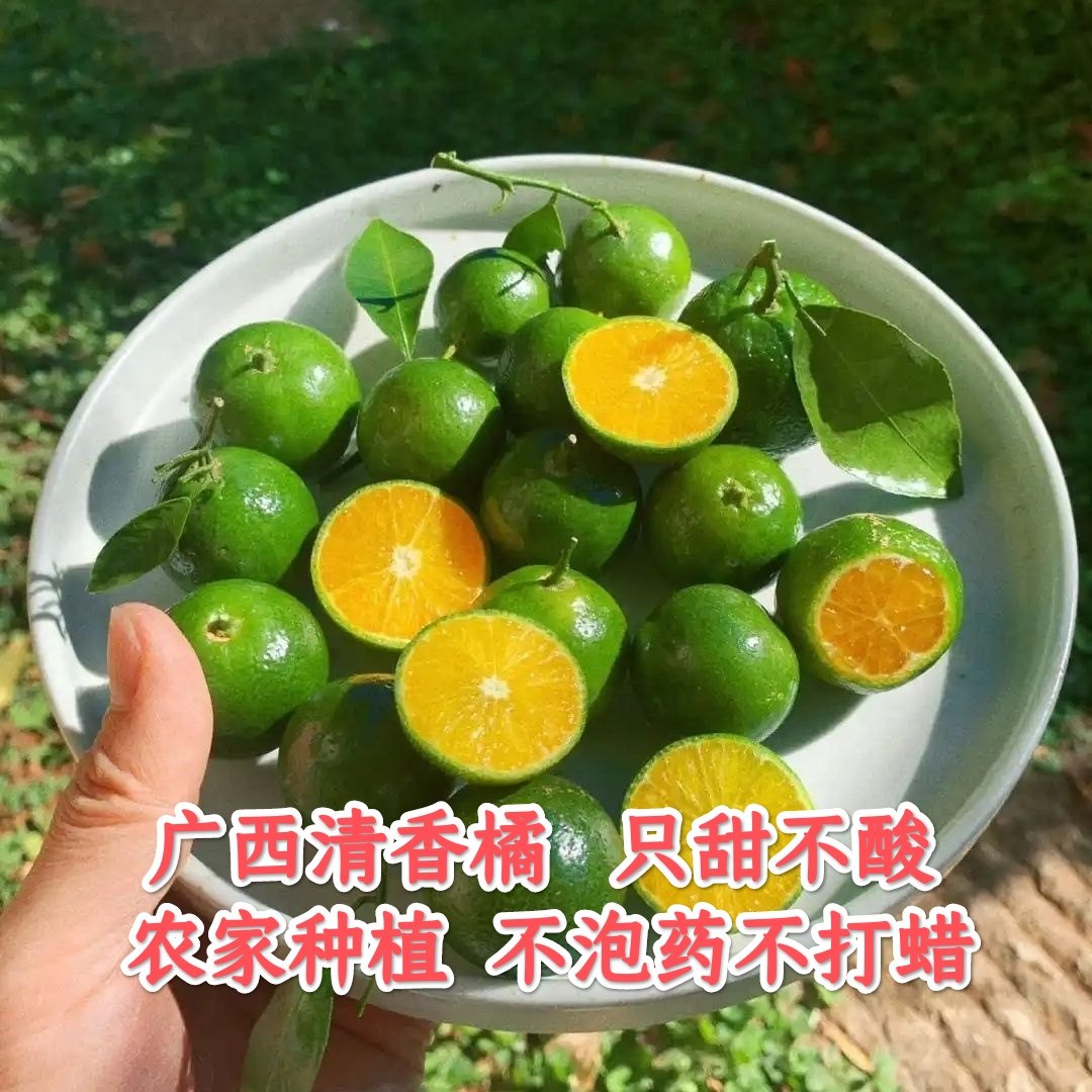 广西清香橘新鲜水果茶桔小青桔清香桔子茶橘子特产青皮蜜橘蜜桔甜,水产肉类/新鲜蔬果/熟食,桔子,淘宝优惠券,粉丝福利购,淘宝优惠卷