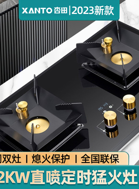杏田 139D燃气灶双灶家用大火力新款猛火灶煤气灶十大品牌定时灶