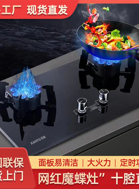 杏田 01-03杏田家用翻盖魔碟灶煤气炉定时不锈钢液化气天然气灶