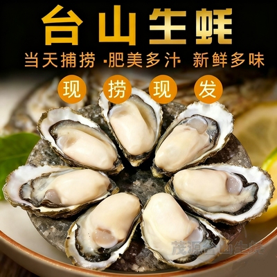 广东台山生蚝鲜活特大带壳白蚝新鲜现捞直发鲜活牡蛎带壳海鲜水产