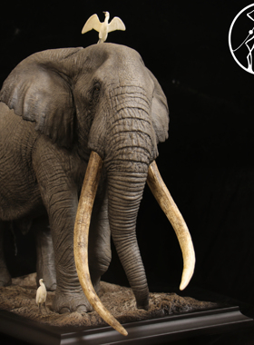 APHID STUDIO——地球脉动 非洲象tim 收藏级雕像