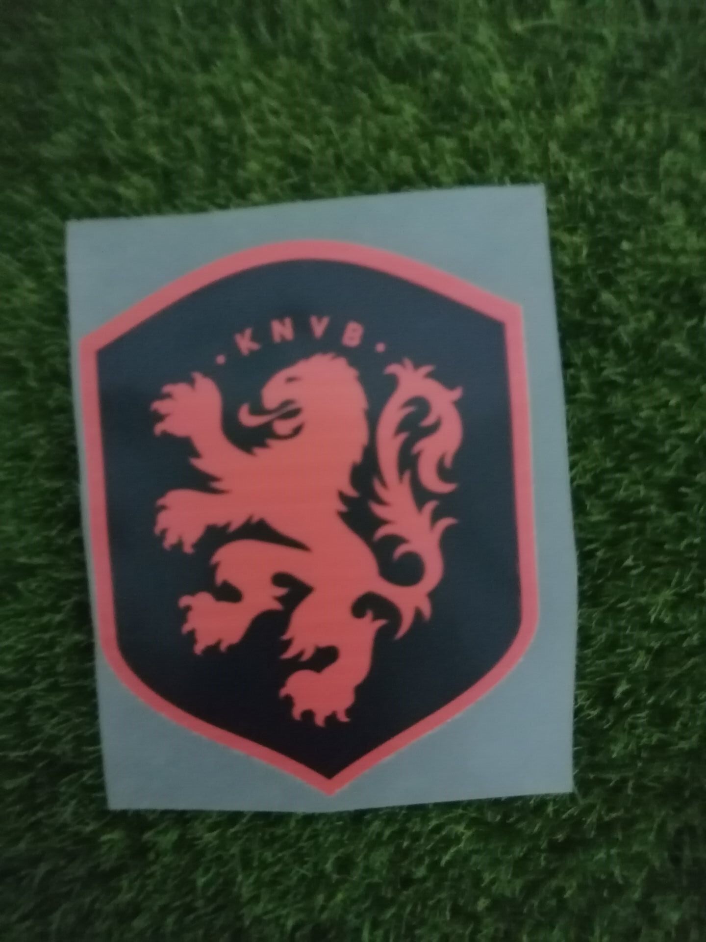 如图所示 荷兰队徽 热转印印号印字臂章