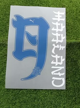 2023曼城印字日本行9号哈兰德#9 HAALAND印号NAMESET