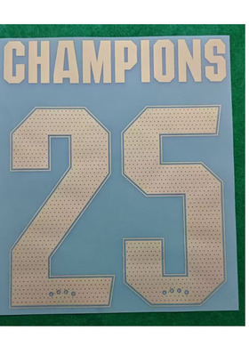 24-25阿森纳女足25冠印号#25 CHAMPIONS Nameset热转印印字