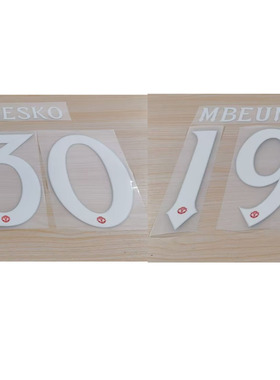 2526曼联主场欧冠印字19号姆伯莫谢什科费尔南德斯马丁内斯热转印