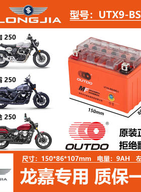 适用龙嘉V咖250i V霸V途250 VMAX300ie XDV250奥特多摩托车电瓶