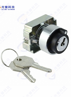 2AK2-04 《CONFIG SW BODY KEYLOCK NON-ILLUM》