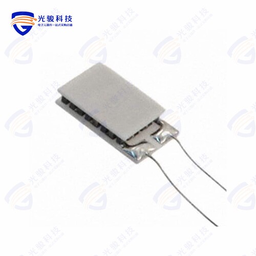 430544-501《PELTIR ET20,24,F2A,0709,11,W2.25》