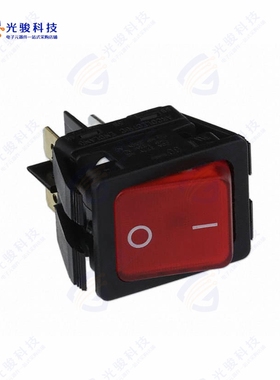 C6053ALBR31197W 《SWITCH ROCKER DPST 20A 277V》