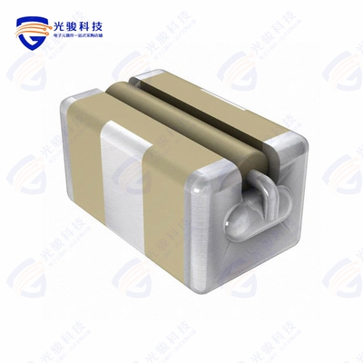 SBSGC5000153MXR《SURFACE MOUNT C AND PI FILTER》