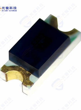 B1501PT--H9C000213U1930《3.2(L)X 1.6 (W)X 1.1 (H) MM PT》