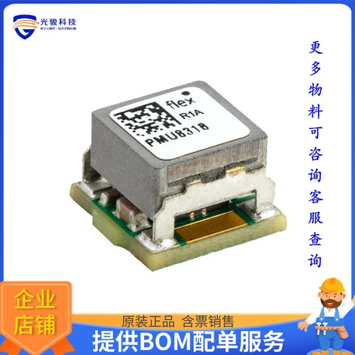PMU8318电源模块【DC DC CONVERTER 0.6-5.5V 33W】