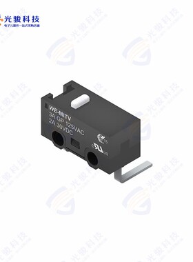 463091691402 《WS-MITV MICRO SWITCH》