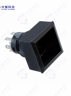 YB225CWSKW01 《SWITCH PUSHBUTTON DPDT 3A 125V》