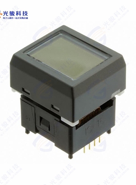 IS15EBFP4RGB-09YN 《SW PROG DISPLAY SPST-NO 0.1A 12V》