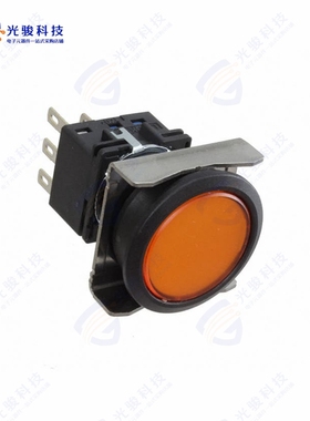 LBW6L-M1T54A 《LBW FLUSH ILLD PB MOME. AMBER》