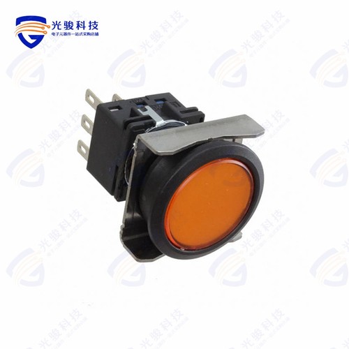 LBW6L-M1T54A 《LBW FLUSH ILLD PB MOME. AMBER》